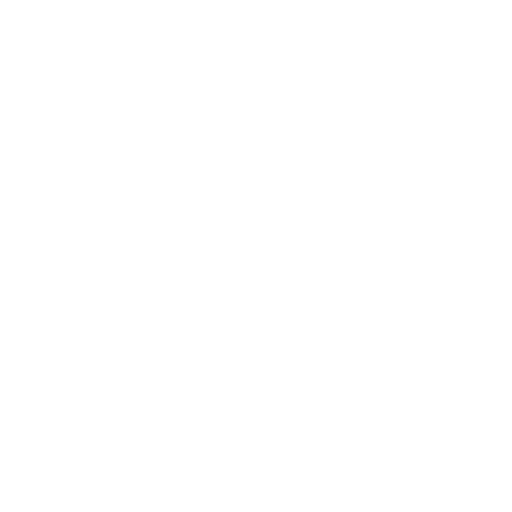 View Report